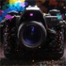 Готовый сайт "Портфолио фотографа" на WordPress